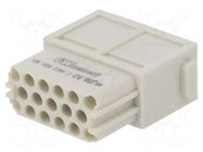 Connector: HDC; module; female; GWconnect; PIN: 17; 160V; 10A MOLEX