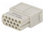 Connector: HDC; module; female; GWconnect; PIN: 17; 160V; 10A; 1.6mm MOLEX