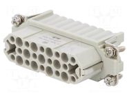 Connector: HDC; female; HD; PIN: 25; 10A; 250V; 25+PE; size 5; crimped TE Connectivity