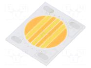 Power LED; COB,bicolour; 120°; Front: flat; CRImin: 90; 24x20x1.6mm ProLight Opto