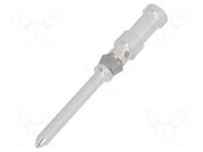 Contact; male; 1.6mm; CDM/DDM,HD/HDD; silver plated; 1mm2; crimped TE Connectivity