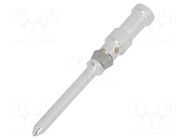 Contact; male; 1.6mm; CDM/DDM,HD/HDD; silver plated; 1mm2; crimped TE Connectivity