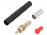 Connector: fiber optic; plug; FSMA; clamp; for cable; POF 6,0mm LAPP