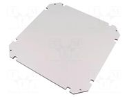 Mounting plate; insulating; W: 250mm; L: 250mm; Thk: 5mm; GEOS; grey SPELSBERG