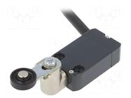 Limit switch; NO + NC; 10A; max.250VAC; max.250VDC; lead; 2m; IP67 PIZZATO ELETTRICA
