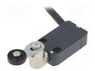 Limit switch; NO + NC; 10A; max.250VAC; max.250VDC; cables; 2m PIZZATO ELETTRICA