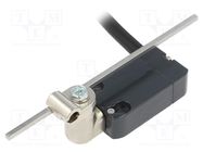 Limit switch; adjustable plunger, length R 19-116mm; NO + NC PIZZATO ELETTRICA