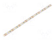 LED tape; white warm; 2835; LED/m: 120; 8mm; white PCB; IP20; 20W/m WISVA OPTOELECTRONICS
