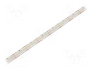 LED tape; white warm; 2216; LED/m: 280; 10mm; white PCB; IP65; 16W/m WISVA OPTOELECTRONICS