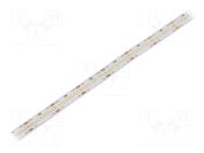 LED tape; white cold; 2216; LED/m: 280; 10mm; white PCB; IP20; 16W/m WISVA OPTOELECTRONICS