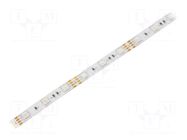 LED tape; RGB; 5050; LED/m: 48; 10mm; white PCB; IP20; 9W/m; 12VDC WISVA OPTOELECTRONICS