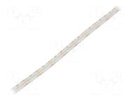 LED tape; white neutral; 2216; LED/m: 280; 10mm; white PCB; IP65 WISVA OPTOELECTRONICS