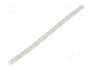 LED tape; white neutral; 2216; LED/m: 280; 10mm; white PCB; IP65 WISVA OPTOELECTRONICS