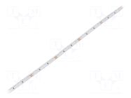LED tape; white cold; 3014; LED/m: 120; 6mm; IP20; 7.6W/m; CRImin: 80 WISVA OPTOELECTRONICS