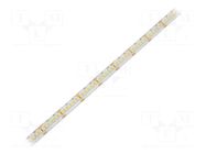 LED tape; white cold; 3528; LED/m: 240; 10mm; white PCB; IP65; 16W/m WISVA OPTOELECTRONICS