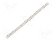 LED tape; white cold; 2216; 24V; LED/m: 280; 10mm; white PCB; IP65 WISVA OPTOELECTRONICS