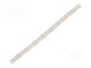 LED tape; white cold; 2216; LED/m: 280; 10mm; white PCB; IP65; 16W/m WISVA OPTOELECTRONICS