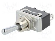 Switch: toggle; Pos: 2; SPDT; ON-ON; 10A/250VAC; 8A/30VDC; -25÷70°C PANASONIC