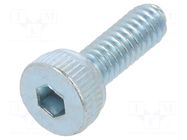 Screw; M2x6; 0.4; Head: cheese head; hex key; HEX 1.5mm; steel; zinc BOSSARD