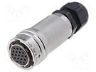 Connector: circular; plug; for cable; PIN: 19; female; soldering AMPHENOL