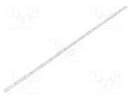 LED strip; 24V; white cold; W: 10mm; L: 480mm; CRImin: 80; 120°; 2835 OPTOFLASH