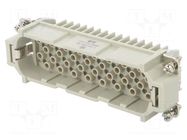 Connector: HDC; male; HD; PIN: 64; 10A; 250V; 64+PE; size 8; crimped TE Connectivity