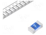 Fuse: fuse; 500mA; 32V; ultra rapid; SMD; 0603 VISHAY