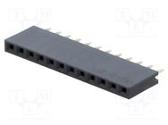 Socket; pin strips; female; PIN: 12; straight; 2.54mm; THT; 1x12 CONNFLY