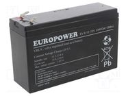 Re-battery: acid-lead; 12V; 5.5Ah; AGM; maintenance-free; EV EUROPOWER
