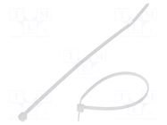 Cable tie; L: 142mm; W: 2.5mm; natural; polyamide; 80N; Ømax: 32mm PANDUIT