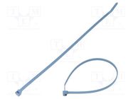 Cable tie; with metal; L: 291mm; W: 4.8mm; polyamide; 222N; -40÷85°C PANDUIT