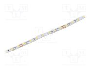 LED tape; white cold; 2216; 24V; LED/m: 140; 3.5mm; white PCB; IP20 WISVA OPTOELECTRONICS