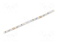 LED tape; white cold; 2216; LED/m: 140; 3.5mm; white PCB; IP20 WISVA OPTOELECTRONICS