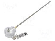 Sensor: temperature; thermocouple K; Ø6x300mm; -40÷1000°C; cl.1 GUENTHER