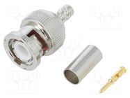 Connector: BNC; plug; male; straight; 50Ω; crimped; for cable; POM AMPHENOL RF