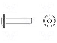 Screw; with flange; M5x10; 0.8; Head: button; hex key; HEX 3mm KRAFTBERG