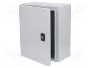 Enclosure: wall mounting; X: 250mm; Y: 300mm; Z: 150mm; Spacial CRN 