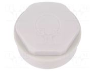 Stopper; M50; 1.5; IP54; polyamide; grey; SKINDICHT®; Thread: metric LAPP
