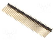 Connector: pin strips; pin header; male; PIN: 72; SL 22; THT; 2.54mm FISCHER ELEKTRONIK