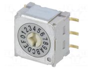 Encoding switch; HEX/BCD; Pos: 16; vertical; Rcont max: 30mΩ; ND3 NKK SWITCHES