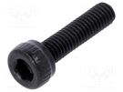 Screw; M3x12; 0.5; Head: cheese head; hex key; HEX 2,5mm; steel BOSSARD