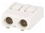Connector: plug-in; LED Light; 2061; 12A; 630V; SMT; tinned; ways: 2 WAGO