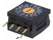 Encoding switch; HEX/BCD; Pos: 16; THT; Rcont max: 100mΩ; FR01 NKK SWITCHES