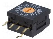 Encoding switch; HEX/BCD; Pos: 16; THT; Rcont max: 100mΩ; FR01 NKK SWITCHES
