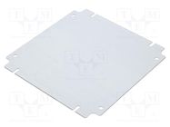 Mounting plate; steel; Plating: zinc RITTAL