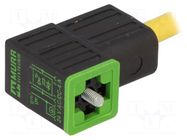 Valve connector; plug; Type: CI; PIN: 4; 9.4mm; female; 24VDC; 4A MURRELEKTRONIK