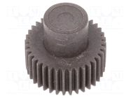 Spur gear; whell width: 16mm; Ø: 19mm; Number of teeth: 36; ZCL ELESA+GANTER