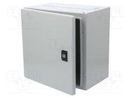 Enclosure: wall mounting; X: 300mm; Y: 300mm; Z: 200mm; Spacial CRN SCHNEIDER ELECTRIC