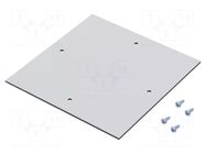 Mounting plate; plastic; light grey; PK RITTAL