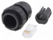 Connector: RJ45; plug; DC; PIN: 8; Cat: 6; 8p8c; Locking: bayonet; IDC SWITCHCRAFT